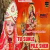 About Tu Sunle Pile Sher Song